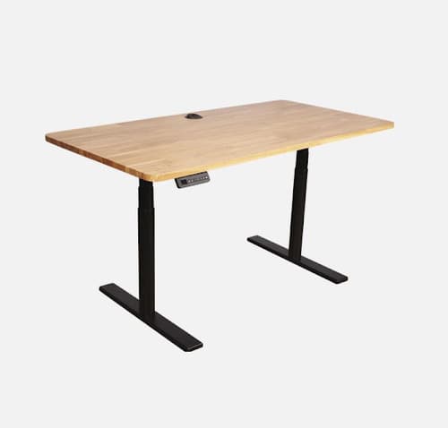 Reclaimed Wood Butcher Block Height-Adjustable Desk