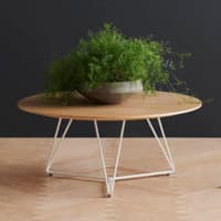 'Ginkgo' Wire Coffee Table